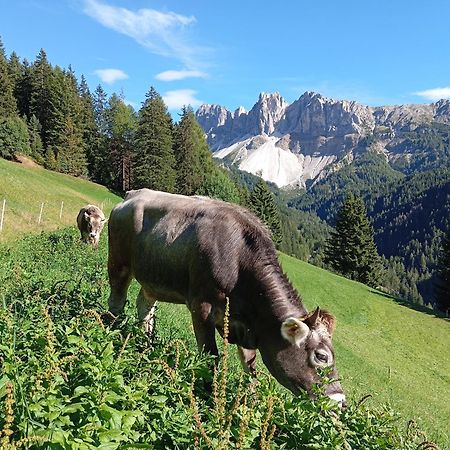 Zimmererhof Bressanone Zewnętrze zdjęcie